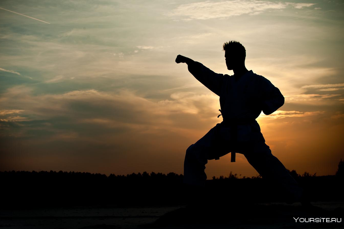 Martial Arts 2
