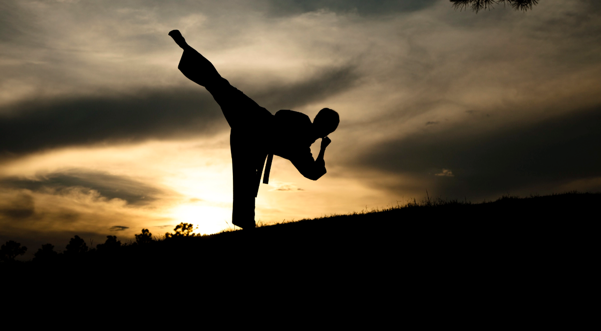 Martial Arts 5