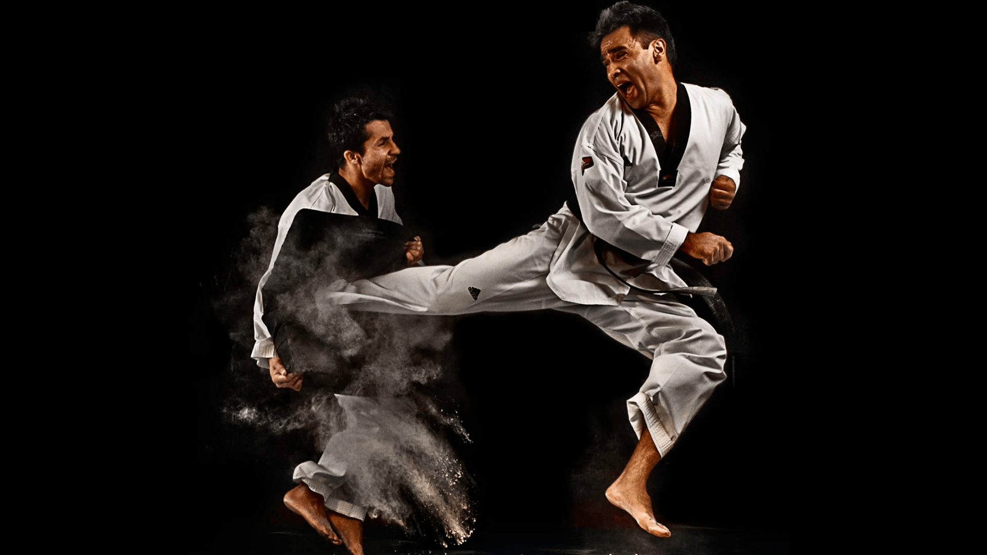 Taekwondo